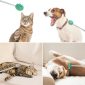 Telescoping Back Scratcher cyan pets