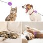 Telescoping Back Scratcher purple pets